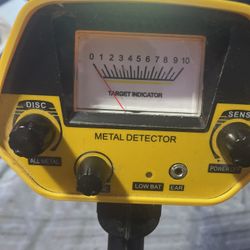 Metal Detector