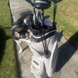 Almost New Pro Golf Bag .
