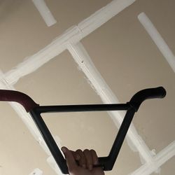 Painted Black 2 Wheel Gang Bars