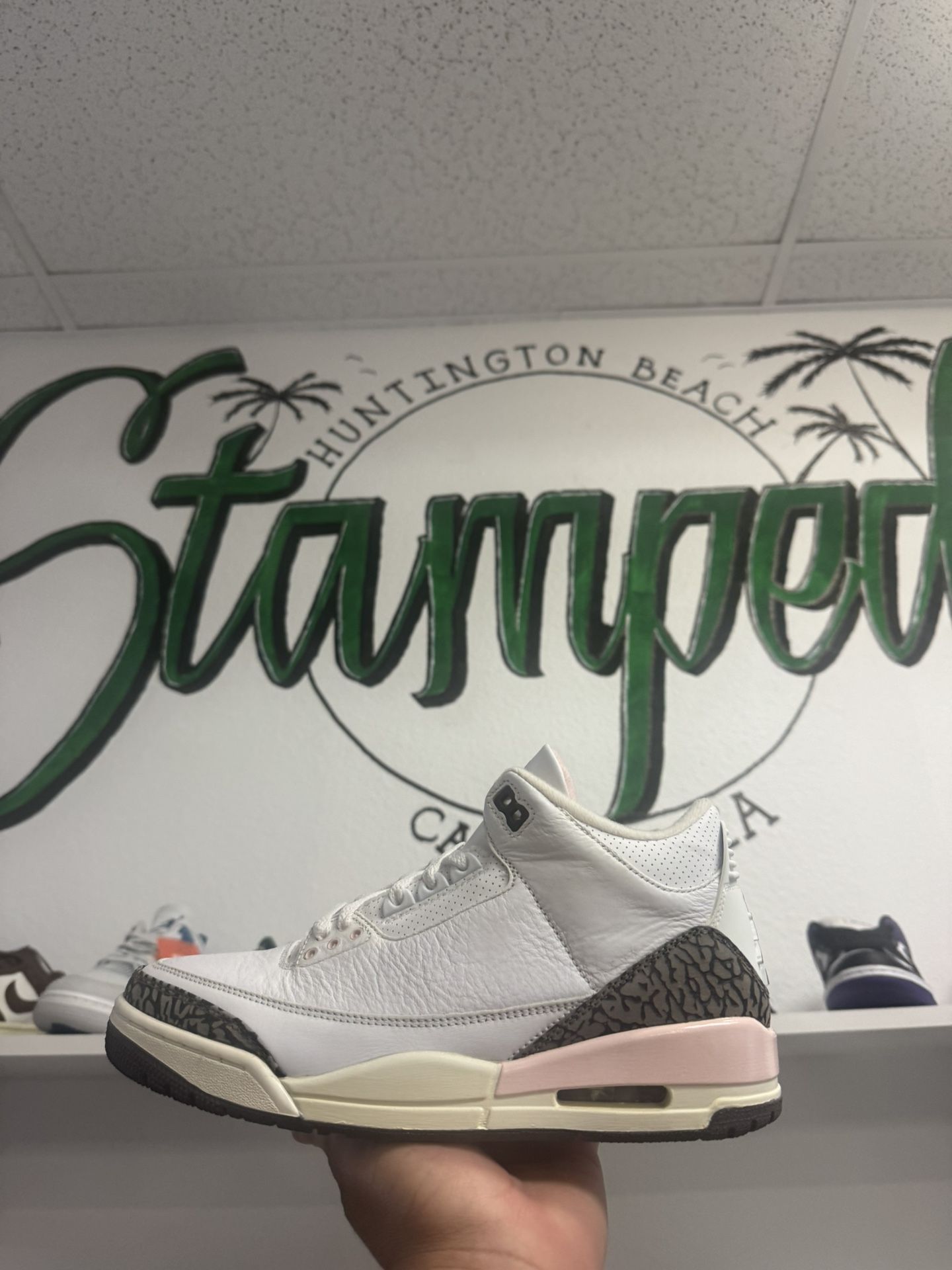 Jordan 3 Neapolitan