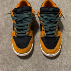 Nike Dunk Men’s 11.5