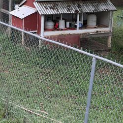 Free chicken coop