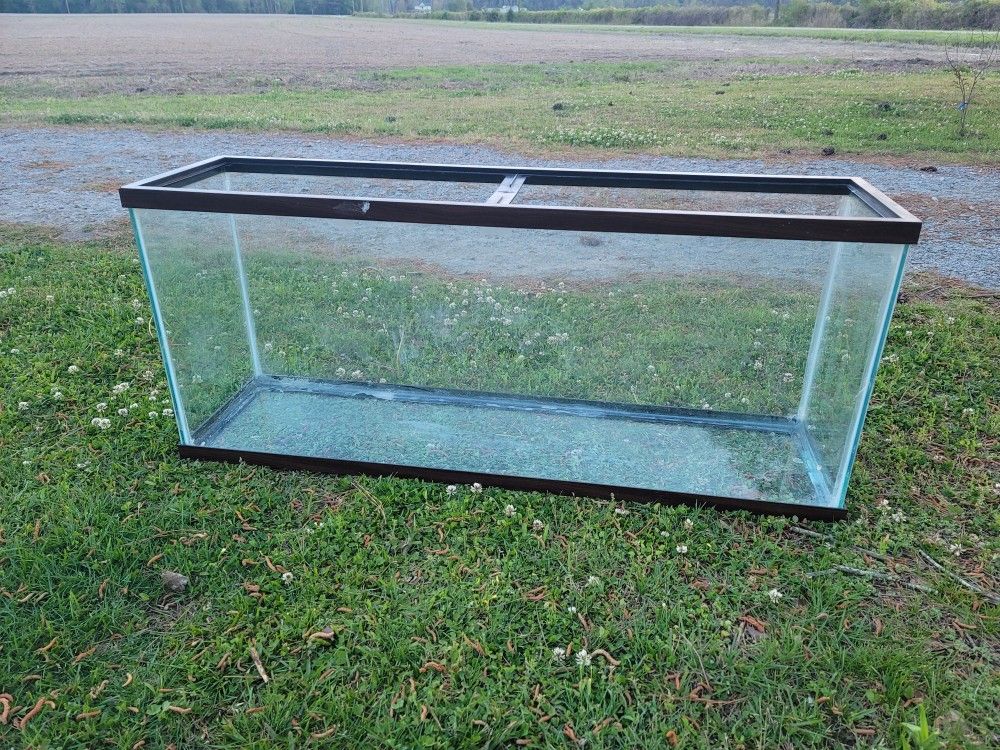 Large Fish Tank / Reptile Tank -55 Gallon  - Please Read Description 