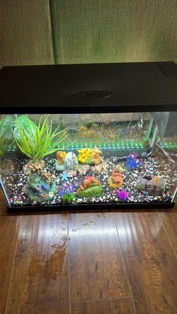 Top Fin® LED Bubble Wall Aquarium Kit fish tank 20 gallons