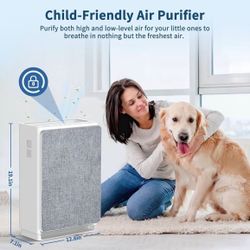 Air Purifier