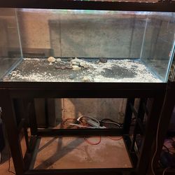 40 gallons breeder fish tank