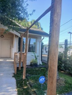 Rustic cedar post canopy and porchs
