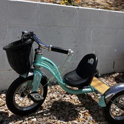 Schwinn Roadster Bike For Toddlers