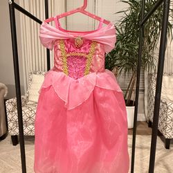 Disney Princess  dress up