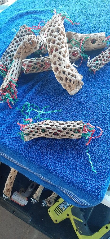 Foraging Toys For Birds