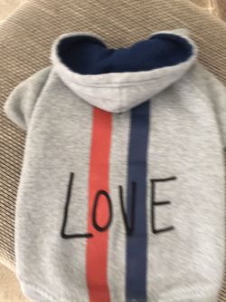 Dog sweatshirt
