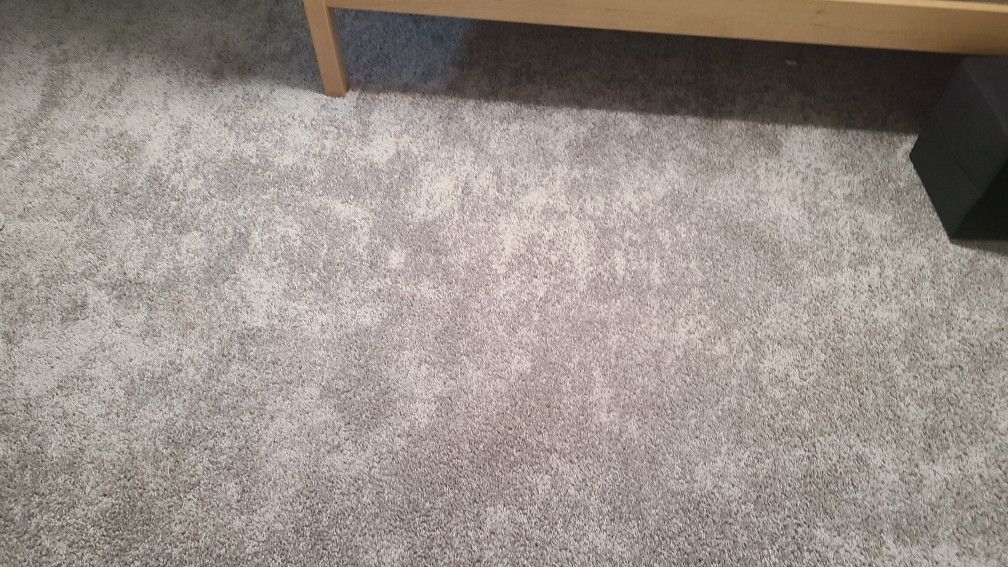 Used Carpet