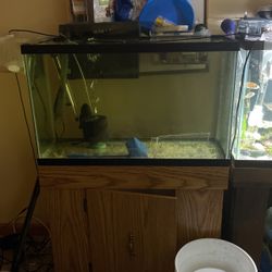 40 gallon tall aquarium fish tank