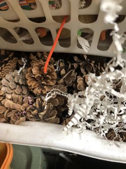 Bird toy parts