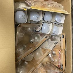 Light Bulbs
