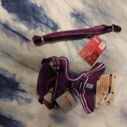 Small Purple Harness With 5ft Leash, Dog, Animal, Pet