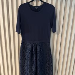 Ann Taylor Chic Navy Dress with Lace Skirt (size M) – Elegant & Versatile