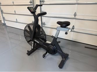 Rogue Echo Bike