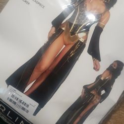 Sexy Adult Costume