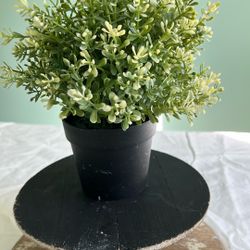 Faux Plant 9” High