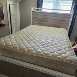 MOVING MUST GO!!! QUEEN BED FRAME 