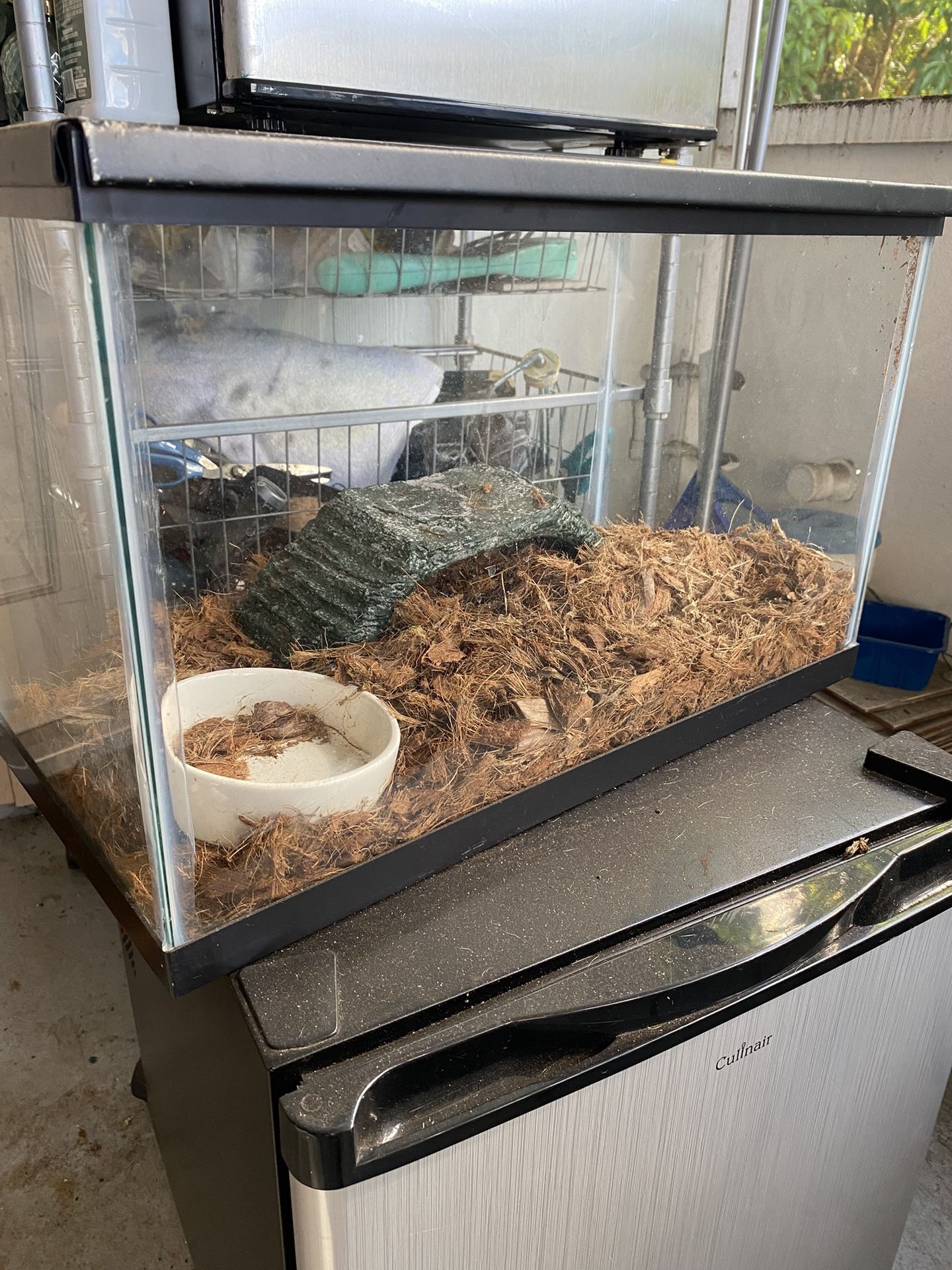 Small Tank Everything included