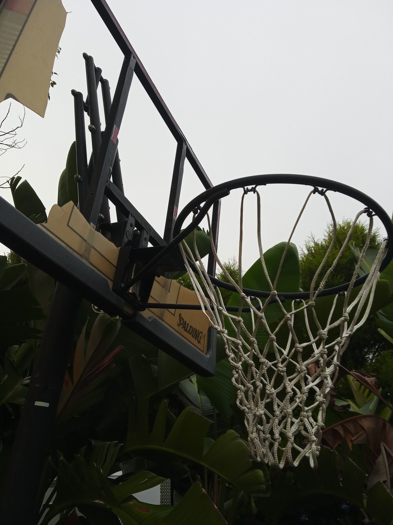Basketball hoop and stand - mobile