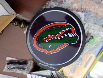 Florida State light up window cling for vehichle