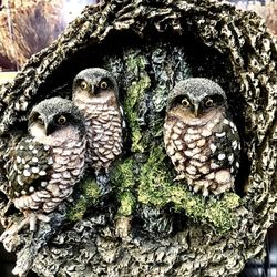 Awesome Baby Spotted Owls In Hollow Tree Figurine 