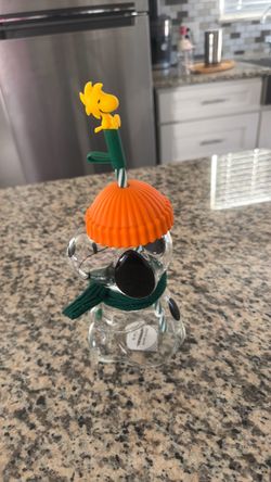 Snoopy Glass