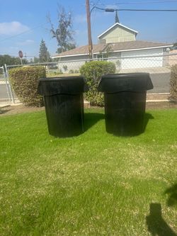 Rubbermaid Brute Trash  44” gal