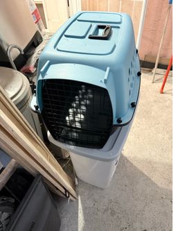 Cat gate