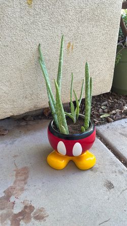 Disney Mickey Mouse Ceramic Planter Pot
