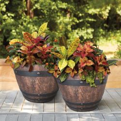 22.25" Woodford Barrel Planter