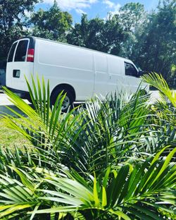 Van For Sofa And Carpets Steamers 