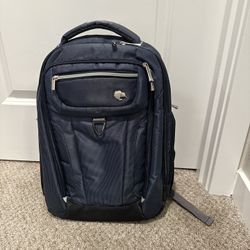 Blue Kiwi Diaper backpack 