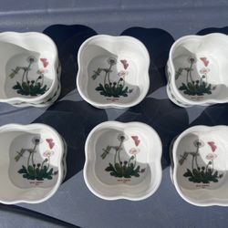 portmeirion botanic garden Ramekins