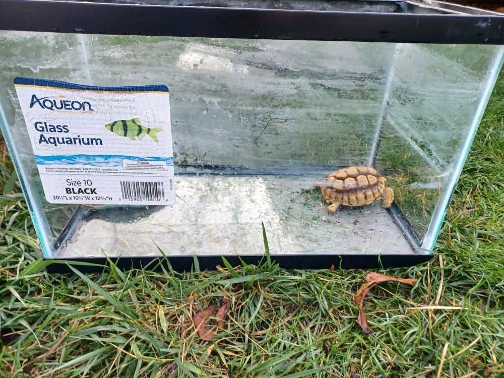 Reptile/ Fish Tank