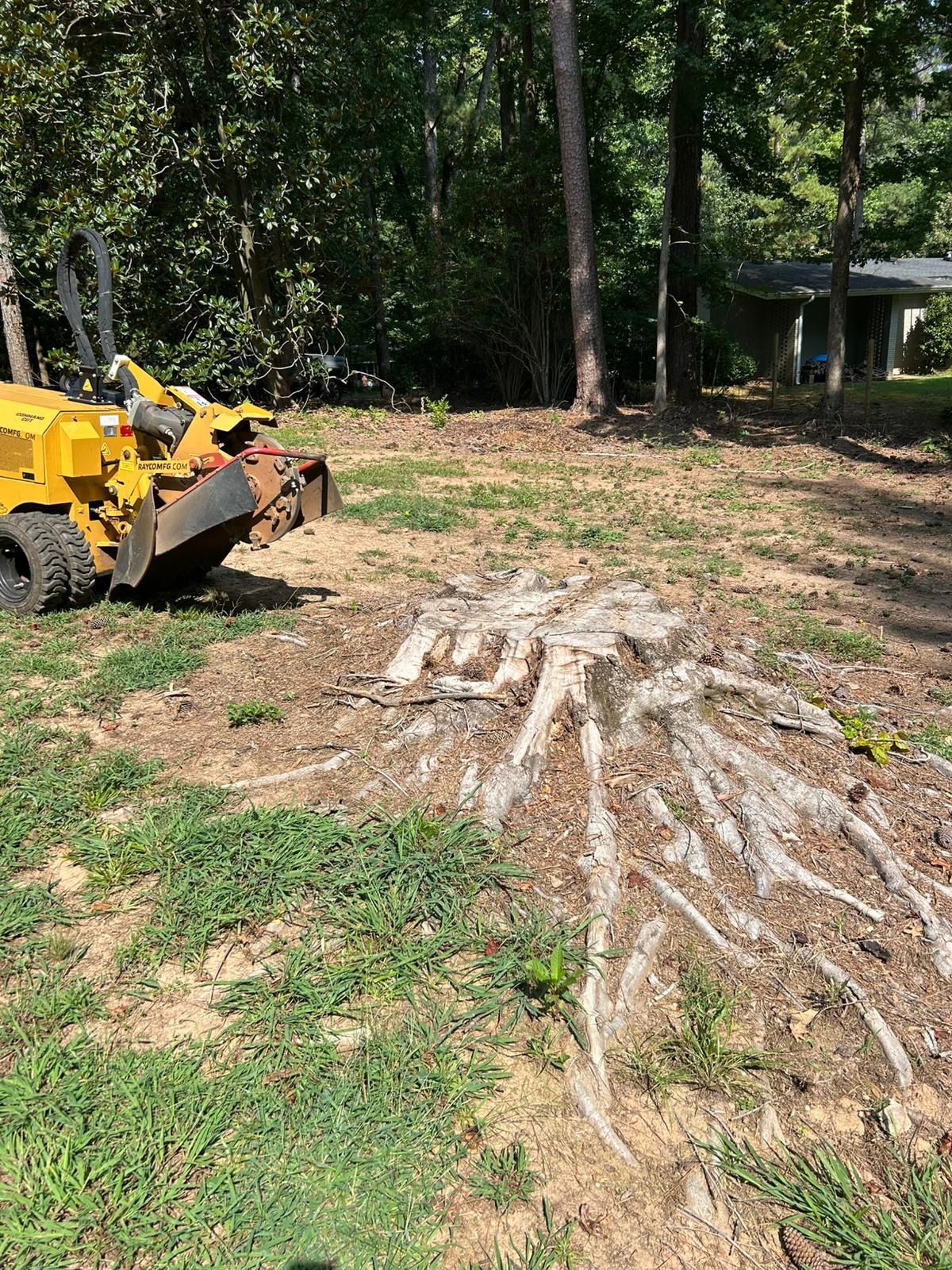 Stump Grinding