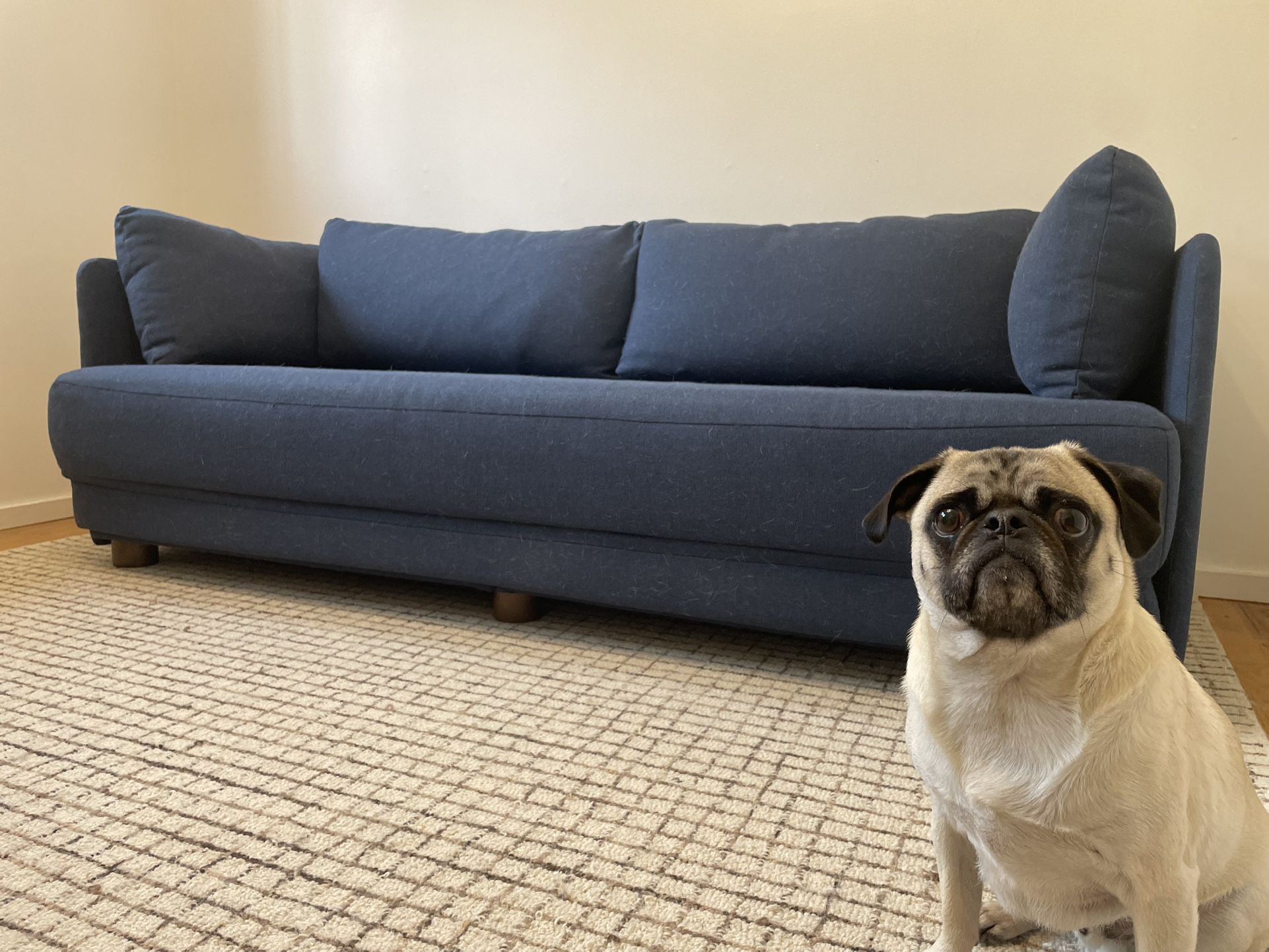 Burrow Queen Sleeper Sofa