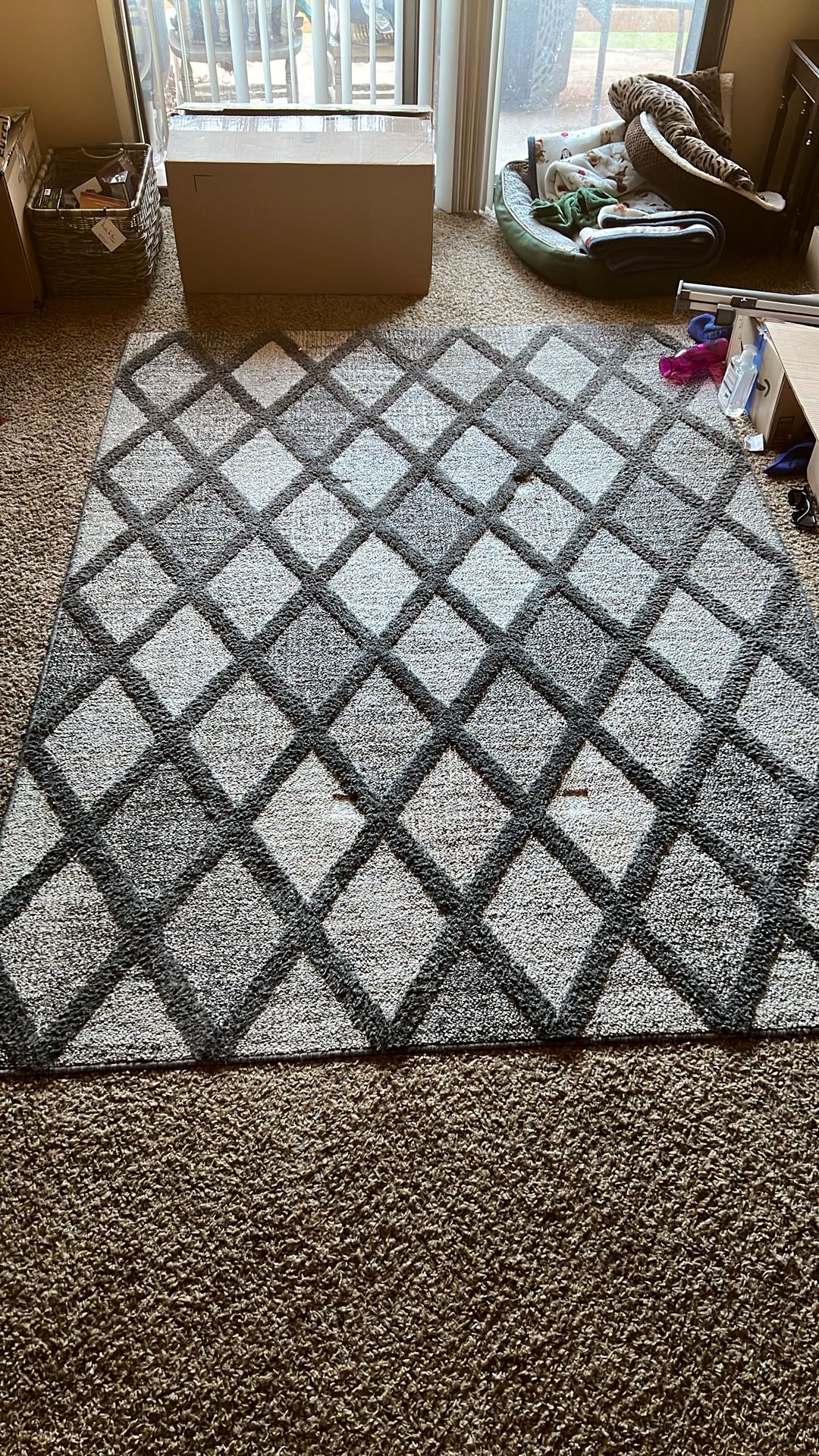 Free Living Room Rug 