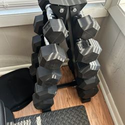 Dumbbells Plus Weight Rack