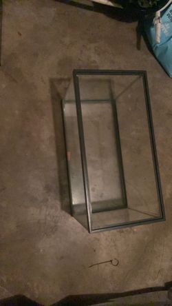 10 gallon aquarium