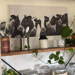 BLACK & WHITE COW CANVAS