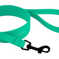 CollarDirect Waterproof Dog Leash Small Medium Large for Walking, Running 