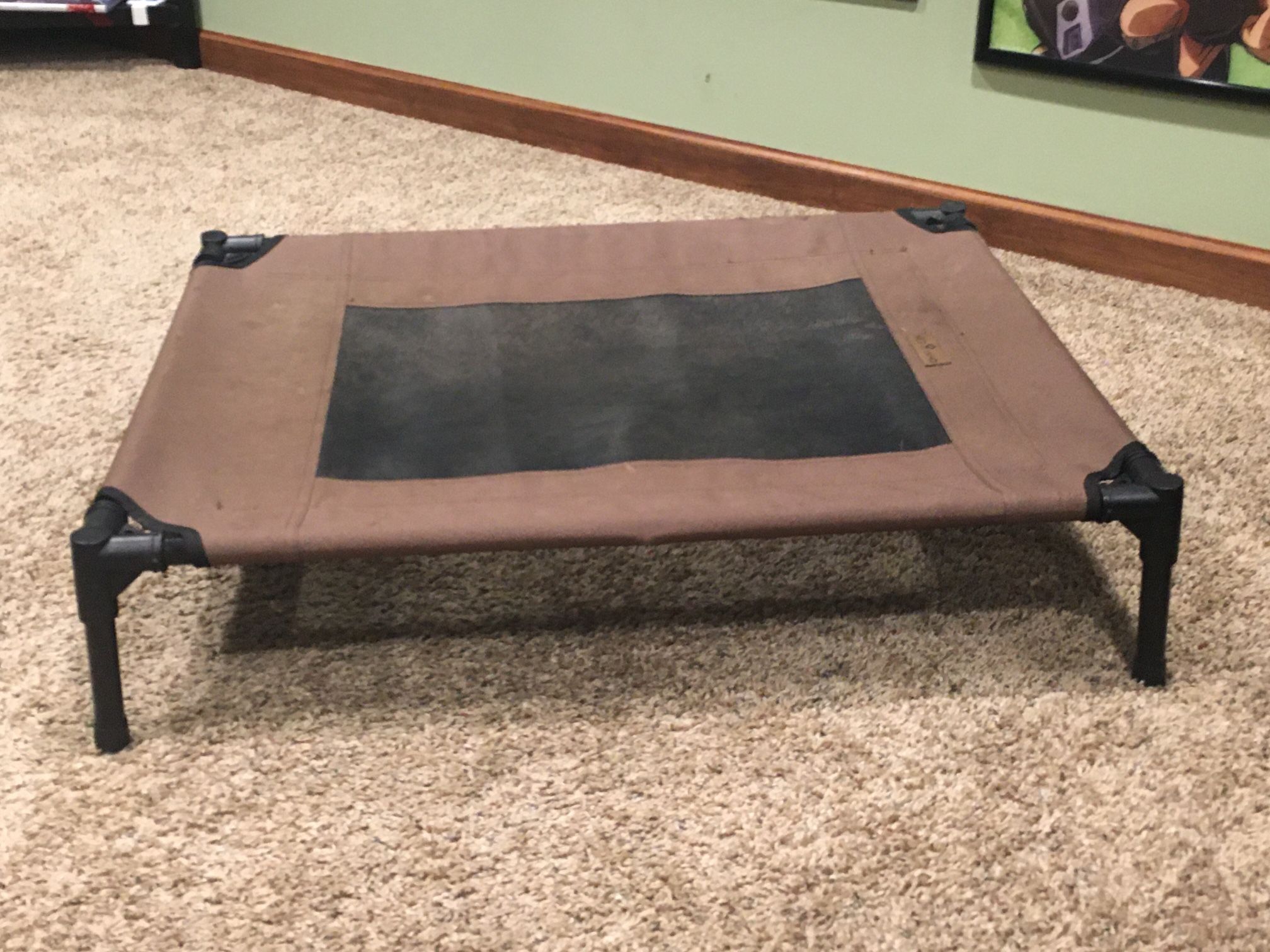 Raised Dog Bed