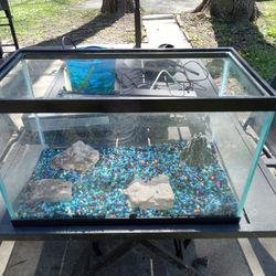 Starter Fish Tank 