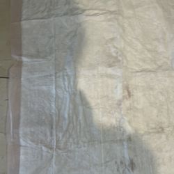 Training puppy diapers 30 pcs
