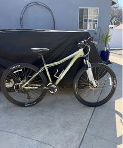 Mountain bike