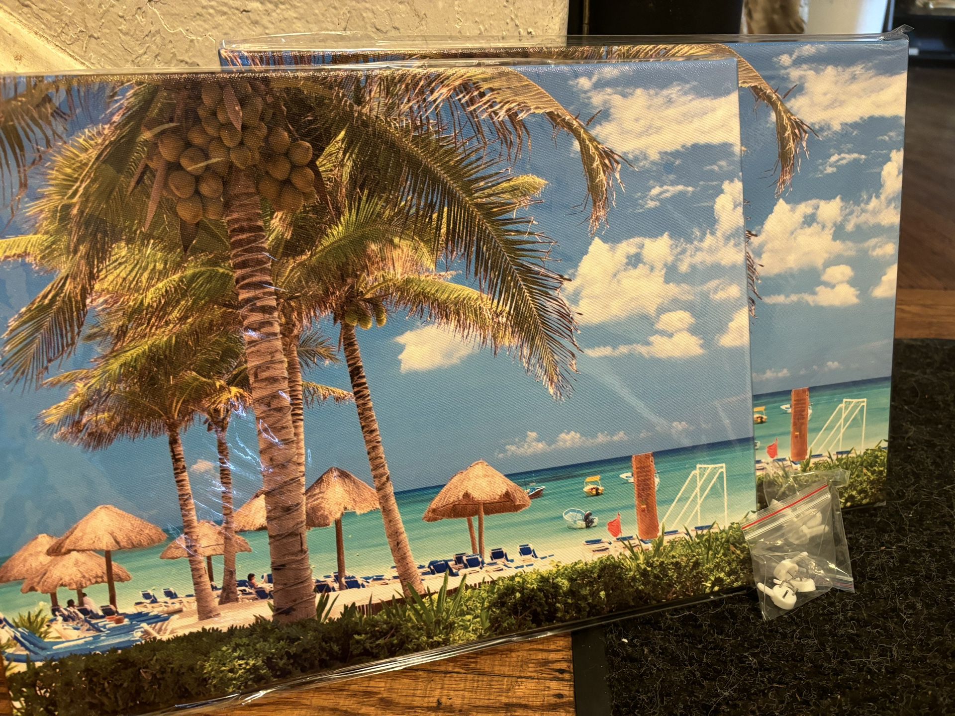 Hawaii Beach Canvas 30x40